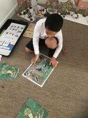 20250306061249721iOS