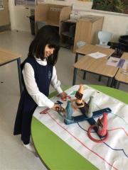 3b7292fb-008b-46e5-8487-64fb171a96e5