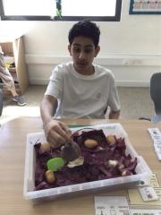 res1600-05235c7e-6e6f-4b53-be2a-85f3b750346e